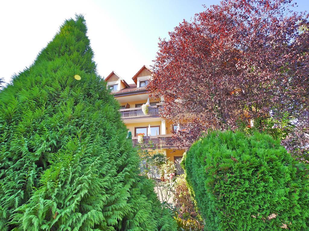 Ringhotel Garni Pflug Oberkirch  Εξωτερικό φωτογραφία