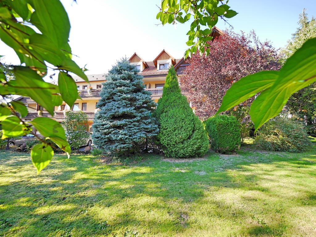 Ringhotel Garni Pflug Oberkirch  Εξωτερικό φωτογραφία